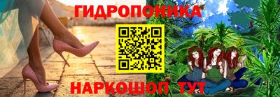 шишки Гусев